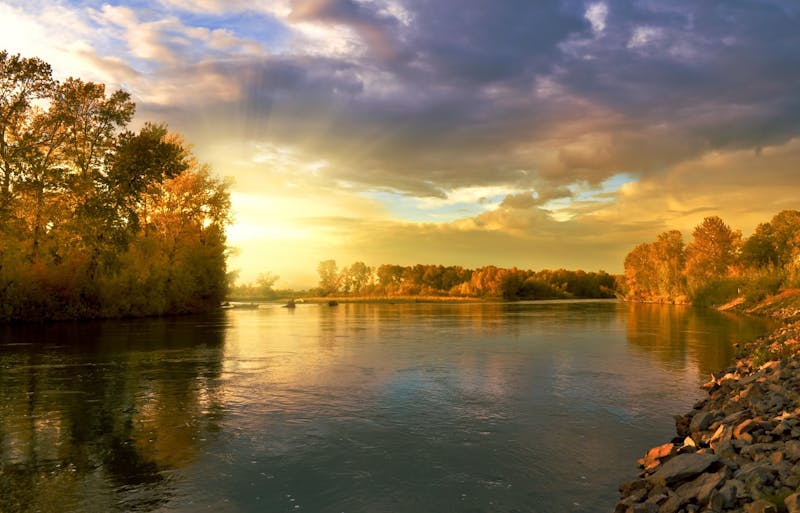 autumn landscape