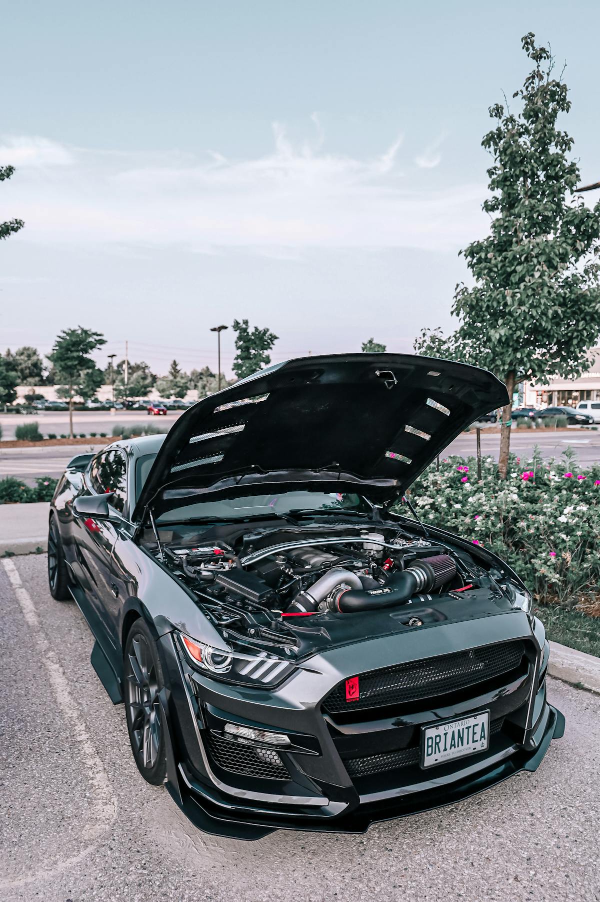 free photo of black ford shelby gt500 with open hood 3